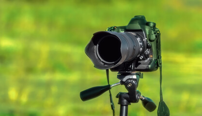 camera on green grass