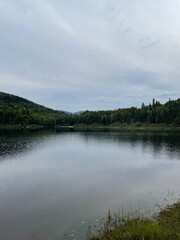 Summer lake in the mountains. Dense forest around the lake. Summer day. Wild nature.