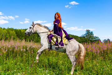 medieval princess in purple galloping behind a developing white horse. Background: The horse rears...