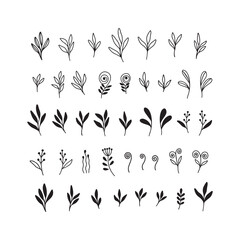 Hand drawn floral vector set of branch. Black plants, leaves, herbs silhouette isolated on white background. Botanical illustration for print, icon, wedding card, invitation card, poster.