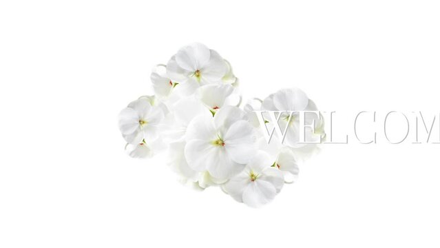 Welcome bouquet of white flowers