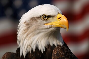 Obraz premium 74-eagle-holding-american-flag.jpg