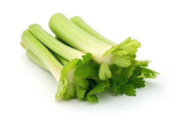 A bunch of fresh celery stalks are arranged in a neat pile, with their long green leaves and crisp white stems visible
