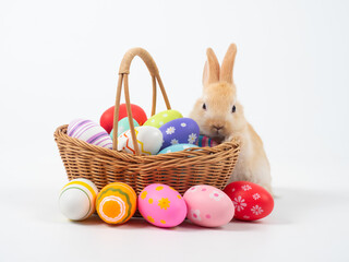 Cute baby rabbit with easter eggs in basket and white background.