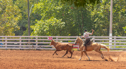 Rodeo in the City of Marau