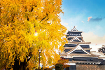 Kumamoto, Japan - Nov 23 2022: Kumamoto Castle's history dates to 1467. In 2006, Kumamoto Castle...