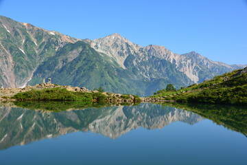 Fototapeta na wymiar 夏の八方池に映る白馬三山