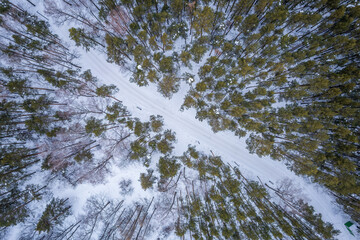 Aerial view of the road in the winter forest with high pine or spruce trees covered by snow. Driving in winter.