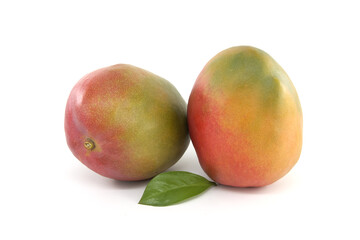 Multicolored mango fruits isolated on a white