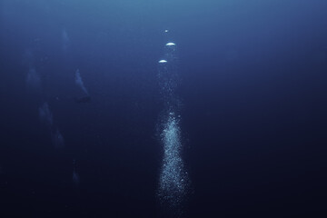 Fototapeta premium bubbles under water diving background