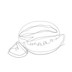 continuous line drawing watermelon illustration