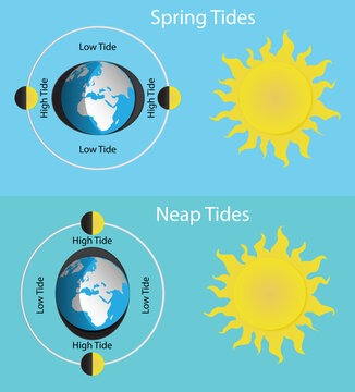 illustration of physics and astronomy, Spring tides and Neap tides, Lunar and Solar tides, Diagram showing earth tides, The Earth revolves around itself and receives sunlight