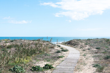Fototapeta premium Entrada a la playa