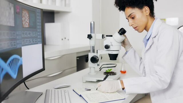 Scientist, plant microscope and woman writing notes for medical research, test or information. Science, notebook and botanist or doctor with leaf sample for gmo, sustainability and covid cure in lab.