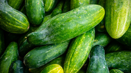 Cucumbers are sold in traditional markets