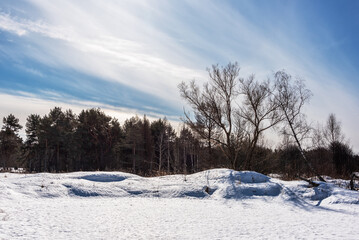 Fototapeta na wymiar Spring landscape with forest covered with snow. Sunny.