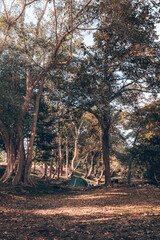 Green tent on the grass in the forest The view behind is the mountain in the morning. Camping, Travel and holiday concept.