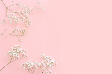 Obraz na płótnie Canvas Top view of small white gypsophila flowers over pastel pink background