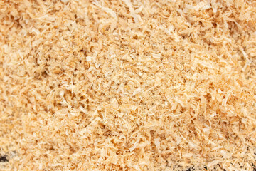 Sawdust texture from wood work copy space