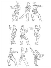 Fototapeta na wymiar taekwondo line art illustration 