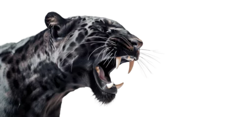 Foto op Plexiglas Roaring black panther isolated of transparent background. PNG. Post-processed generative ai  © Katynn