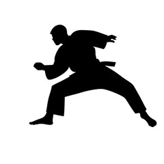 Fototapeta na wymiar karate, judo, kung fu, kempo, ikido, jiu jitsu, box, taekwondo, kendo, silhouette, sport, vector, black, illustration, player, people, run, running, body, sports, ball, soccer, generative ai