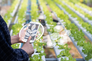 Agriculture technology farmer woman using  mobile phone computer analysis data and visual icon. Smart farm concept..