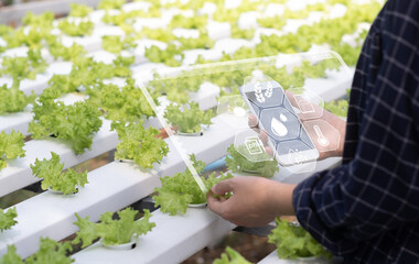 Agriculture technology farmer woman using  mobile phone computer analysis data and visual icon. Smart farm concept..