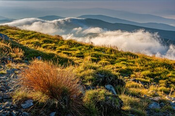 Mountain Landscape in Colourful Sunset. View from Mount Dumbier in Low Tatras, Slovakia. Tourism and healthy lifestyle
