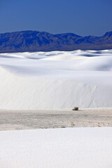 Fototapeta na wymiar White Sands National Park in New Mexico, USA