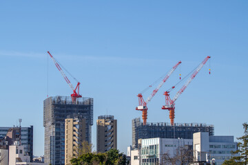 Fototapeta premium 東京港区南青山2丁目から望む渋谷方面の風景