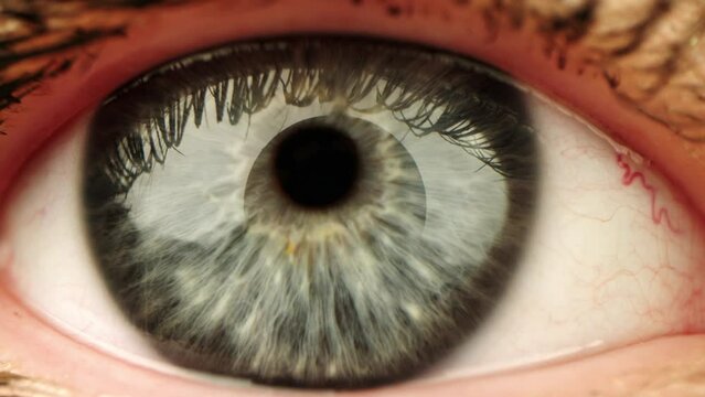 Close up shot of eye opening with beautiful blue iris. Healthy eyesight concept. Front view macro video in 4K.