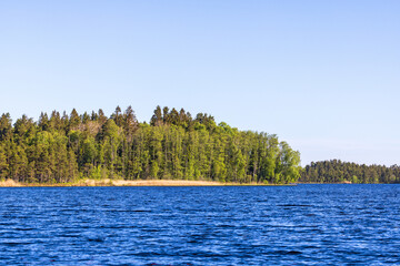 View against a forest from a lake