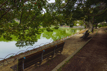 兵庫県・県立明石公園剛の池、桜前の小雨立ち