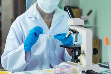 Close up Scientist woman hands look at Glass Petri Dish use Microscope research in science laboratory. Crop women hands biochemistry scientist using fungi Glass Petri Dish in laboratory chemistry lab © aFotostock