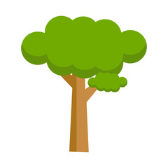 Tree Illustration