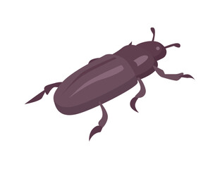 Isometric Bug Icon