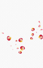 Pink Floral Beauty Vector Transparent Background.