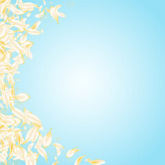 Delicate Lotus Summer Vector Blue Background.