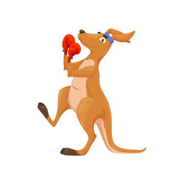 Cartoon boxing kangaroo character. Isolated funny vector australian animal boxer sportsman. Smiling wallaroo personage wear red gloves and headband. Comic sport wallaby mascot for fighting club