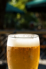 A glass of beer on the table of a beer bar. Amber Lager alcoholic drink.