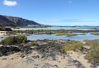 Fototapeta na wymiar Volcanic landscape along the north west coast of Lanzarote