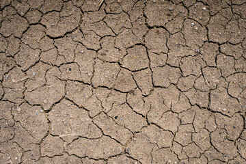 Dry soil background. Texture of dry land in drought and hot weather