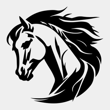 Horse head vector illustration on a white background