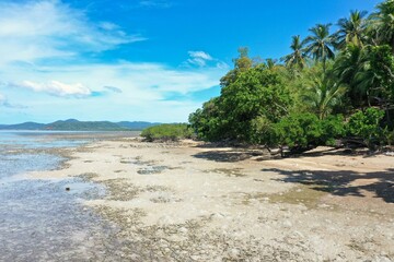 Idyllic sandy beach in Coron in the Philippines densely overgrown with palm trees and other trees, hills in the background.