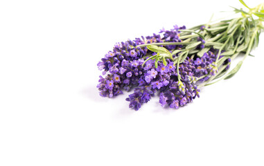 Lavender flower bouquet on white background. French lavender herb
