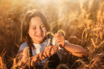 Child play with wheat ears on sunset. Heart from ears of wheat in female kid hands on ripe wheat...