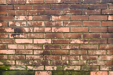 old grunge brick wall texture background. the paint is peeling off.