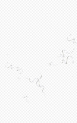 Luxury Star Abstract Vector Transparent