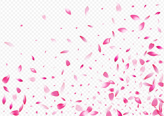 White Cherry Vector Transparent Background. Apple